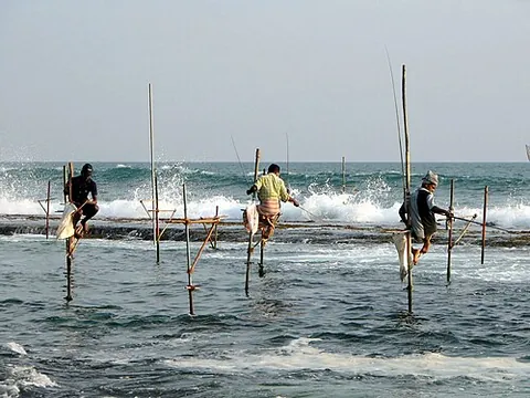 fishing: the act of catching fish