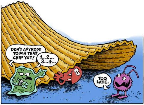 five-second rule: the belief that food dropped on the ground is still hygienic to eat provided it is picked up within...