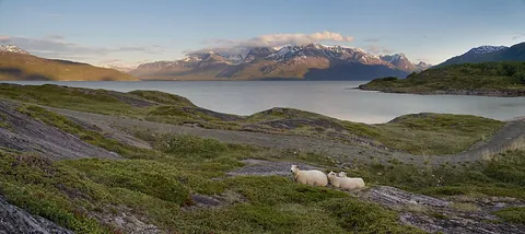 fjord: a long, narrow, deep inlet between cliffs