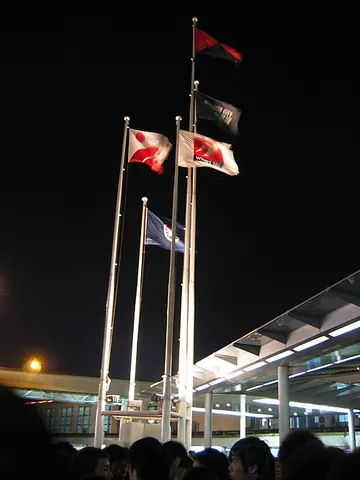 flagpole: a tall pole up which one or more flags may be raised and flown