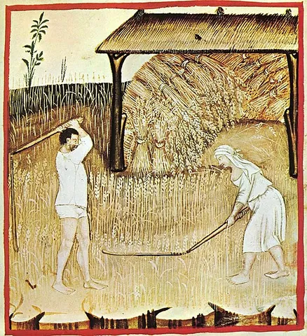 flail: a tool used for threshing, consisting of a long handle (handstock) with a shorter stick (swipple or...