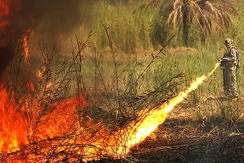 flamethrower: a device that projects a flame for starting fires, and sometimes also additional fuel to help...