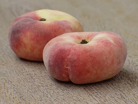 flat peach: a subspecies or variety of peach Prunus persica subsp. platycarpa, with white flesh and a flattish,...