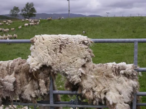 fleece: hair or wool of a sheep or similar animal