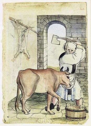 fleischhacker: a surname from German