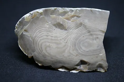 flint: a hard, fine-grained quartz that fractures conchoidally and generates sparks when struck against a...