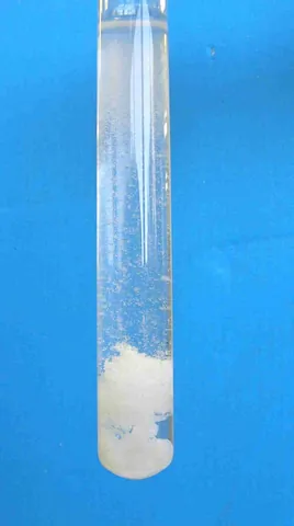 floc: a floccule; a soft or fluffy particle suspended in a liquid, or the fluffy mass of suspended...
