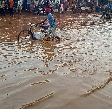 flooded: filled with water from rain or rivers