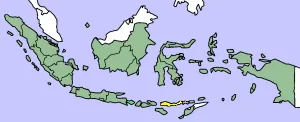 flores: an island of the Azores autonomous region, Portugal, in the North Atlantic