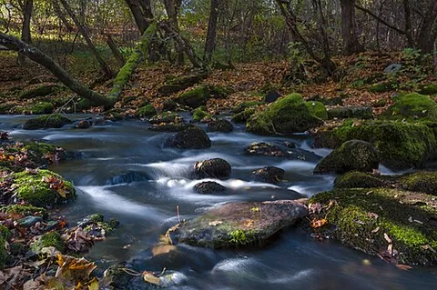 flow: movement in people or things characterized with a continuous motion, involving either a non solid...