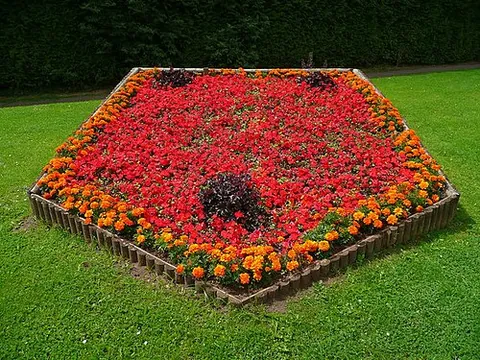 flowerbed: a part of a garden or park where flowers are grown