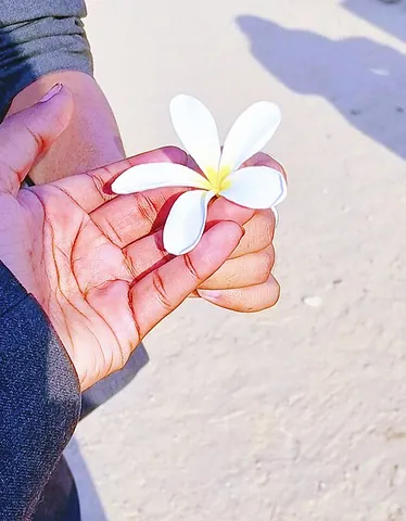 floweret: a floret, or small or component flower