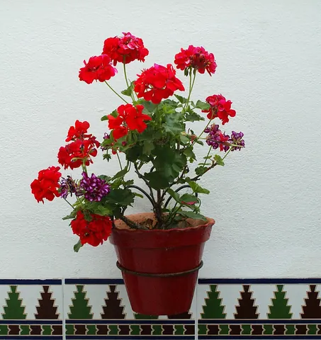 flowerpot: a pot filled with soil in which plants are grown