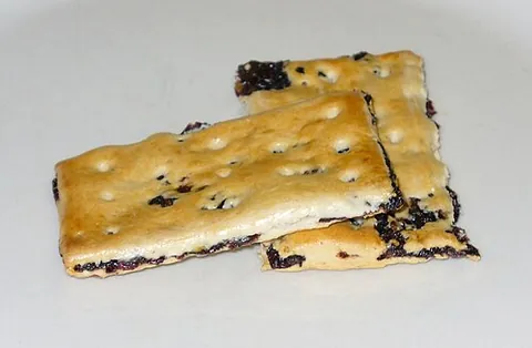 fly biscuit: garibaldi biscuit; currants squashed between two thin, rectangular biscuits