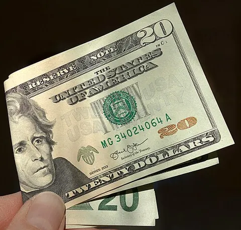 folding money: paper currency; cash in the form of printed banknotes