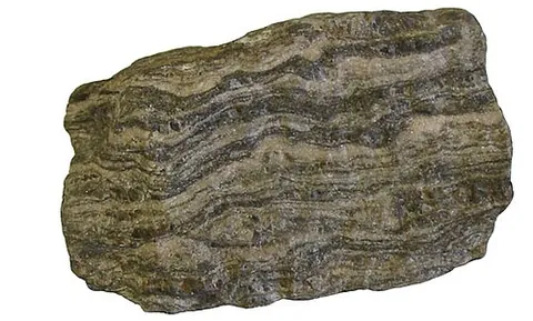foliation: the process of forming into a leaf or leaves