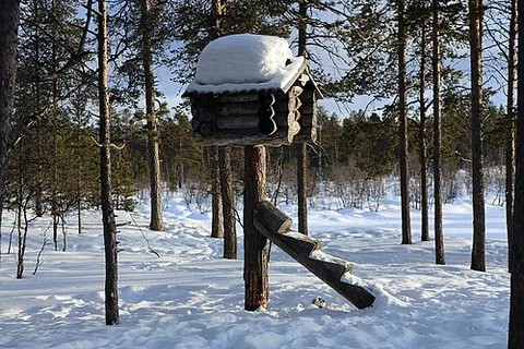 food cache: a cache (usually made of wood) on top of a pole (or several poles), where it can not be reached by...