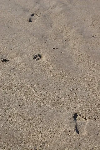 footprint: the impression of the foot in a soft substance such as sand or snow