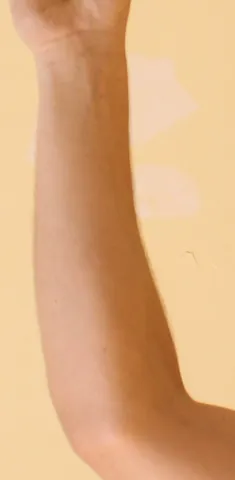 forearm: the part of the arm between the wrist and the elbow