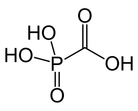foscarnet: phosphonoformic acid when used as a drug, synonym of foscarnet sodium