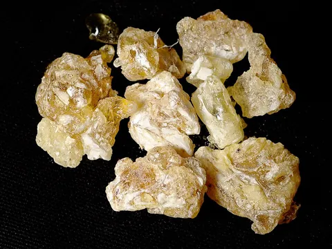 frankincense: a type of incense obtained from the Boswellia thurifera tree