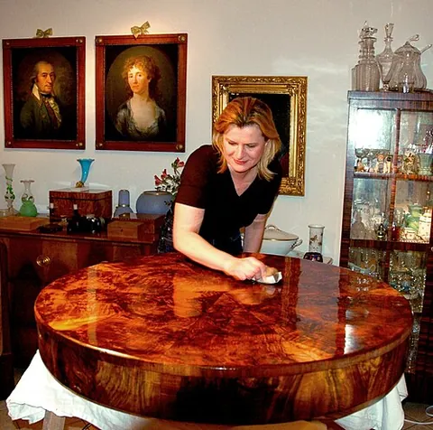french polish: a type of varnish, consisting of shellac dissolved in methylated spirits, used to polish wood