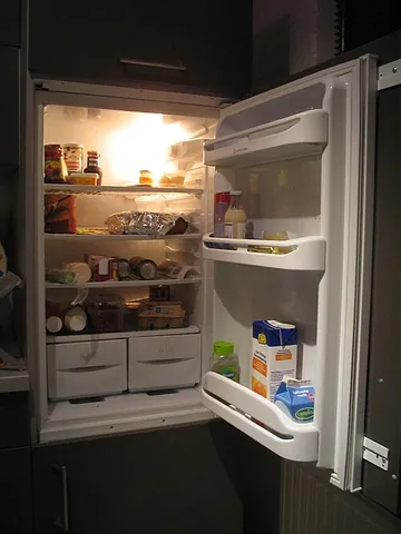 fridge: a refrigerator