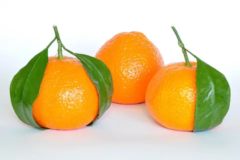 fruit: a product of fertilization in a plant, specifically