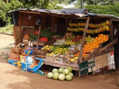 fruiterer: one who sells fruit