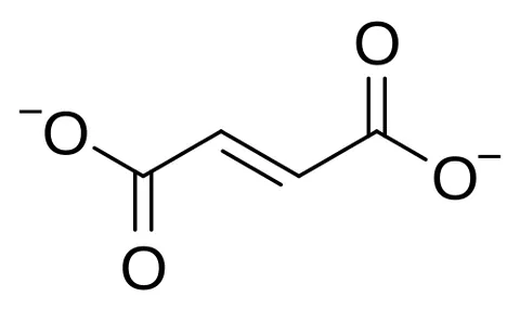 fumarate: any salt or ester of fumaric acid; they are produced in the body as part of the urea cycle