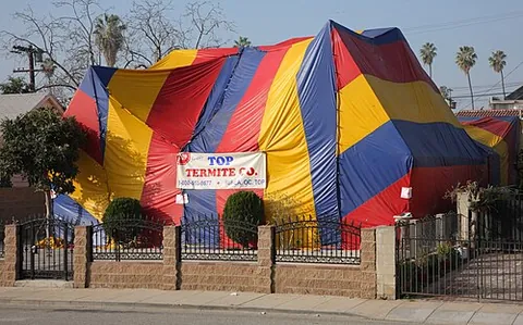 fumigation tent: a large, generally multicoloured and striped, tent placed over a building as it is being fumigated...