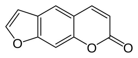 furocoumarin: any organic compound composed of a coumarin fused to a furan, but especially any derivative of the...