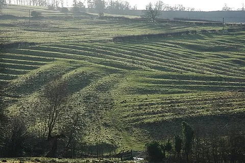 furrow: a trench cut in the soil, as when plowed in order to plant a crop