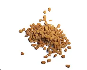 galactagogue: a substance that induces lactation