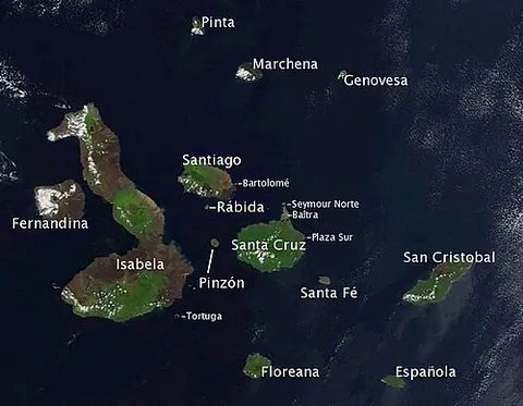 galapagos islands: an archipelago off the coast of Ecuador in the Pacific Ocean, famed for their influence on Darwin's...