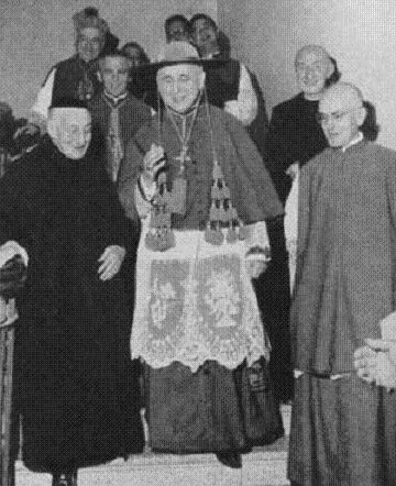 galero: a large, broad-brimmed, tasseled hat worn by Catholic clergy