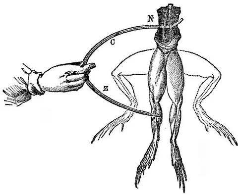 galvanism: the chemical generation of electricity