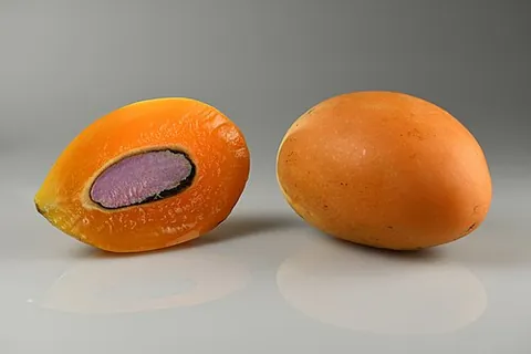 gandaria: plum mango, mango plum (Bouea macrophylla, syn. Bouea gandaria)