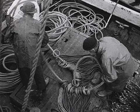 gangion: a short line attached to a trawl
