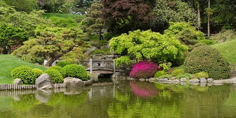 garden: an outdoor area containing one or more types of plants, usually plants grown for food or ornamental...