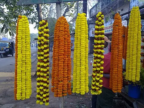 garland: a circular or linear decoration, especially one of plaited flowers or leaves, worn on the body or...