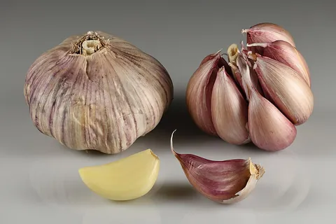 garlic: a plant, Allium sativum, related to the onion, having a pungent bulb much used in cooking