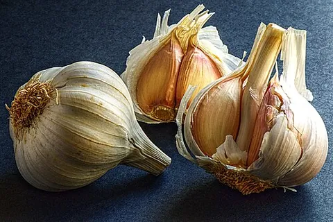 garlicky: tasting or smelling of garlic