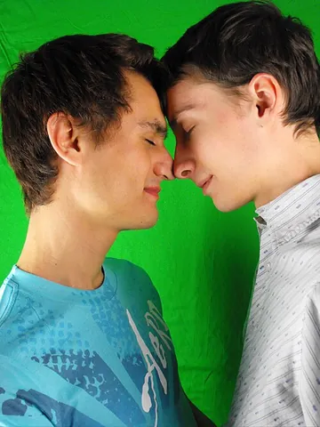 gay: only possessing sexual and/or romantic attraction towards people one perceives to be the same sex...