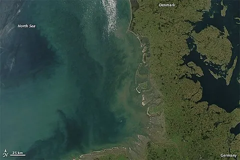 gelbstoff: the optically measurable component of dissolved organic matter in water, which primarily occurs...