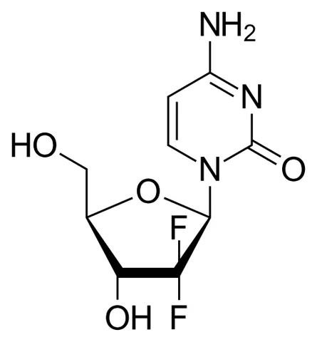 gemcitabine: a particular drug used in chemotherapy