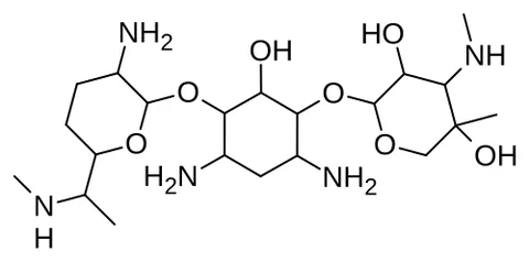 gentamicin: a broad-spectrum aminoglycoside antibiotic mixture, derived from an actinomycete (Micromonospora...