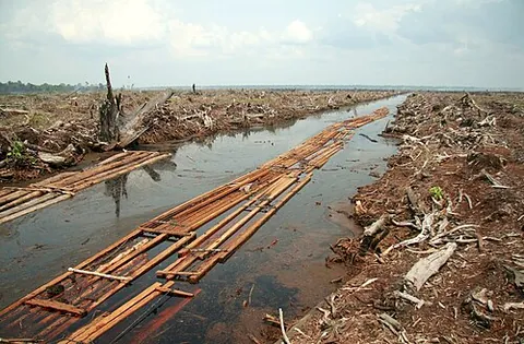 geocide: the destruction of the earth, its ecosystems, or some part thereof, due to human activity