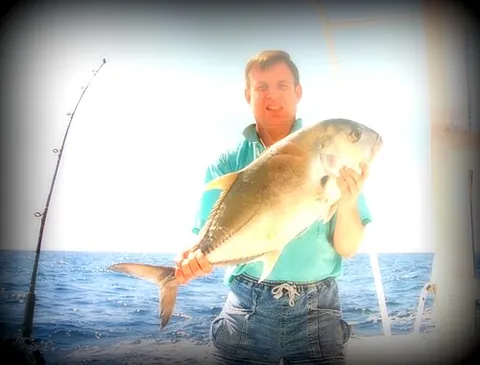 giant trevally: caranx ignobilis