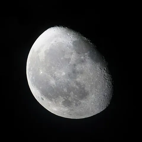 gibbous: curved or bulged outward
